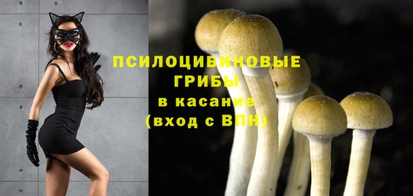 герыч Арсеньев